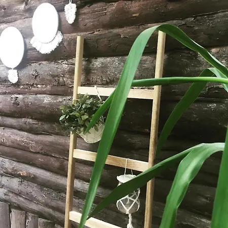 Baykuş Oda ve Kahvaltı