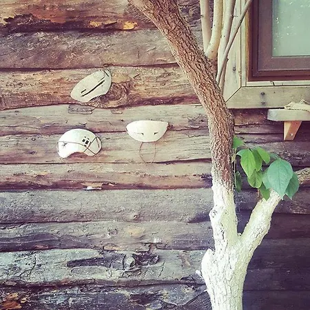 Oda ve Kahvaltı Baykuş Olimpos